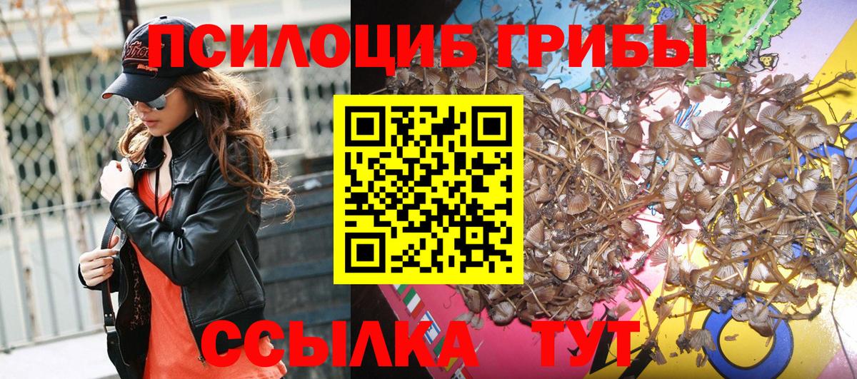 Псилоцибиновые грибы ЛСД  Псилоцибиновые грибы прущие грибы  Вольск  Вход с VPN 