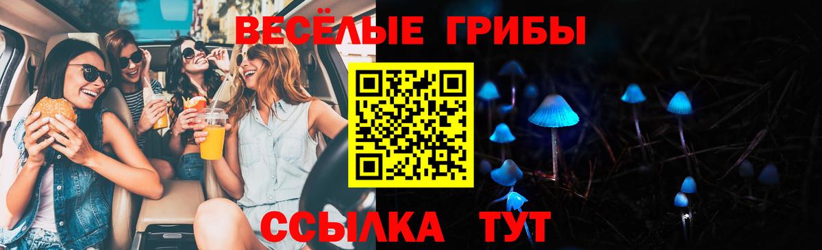 Галлюциногенные грибы Cubensis Вольск
